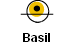Basil